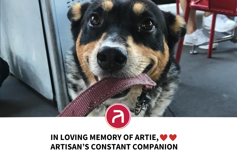 In Loving Memory of Artie, Artisan’s Constant Companion.